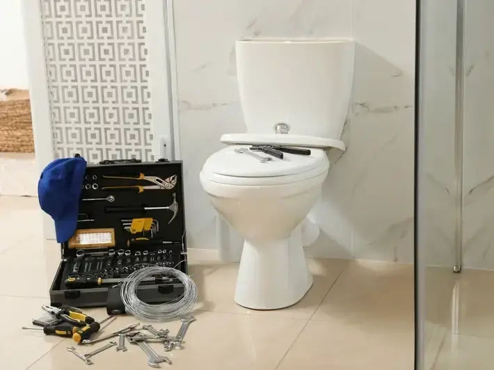 Professional service work by SnoFalls Plumbing LLC in Bonney Lake