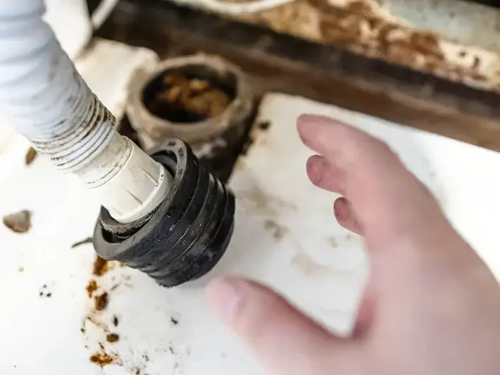 SnoFalls Plumbing LLC service area covering Bonney Lake, WA and surrounding neighborhoods